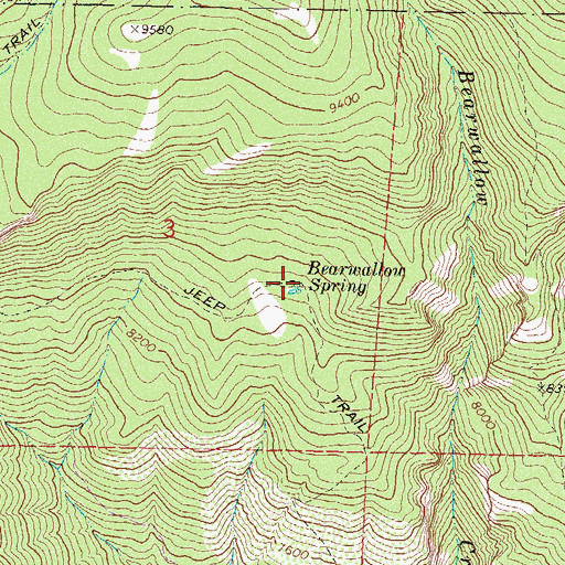 Topographic Map of Bearwallow Spring, CO