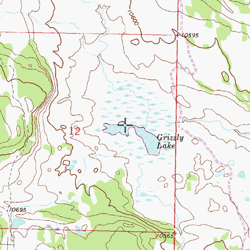 Topographic Map of Grizzly Lake, CO