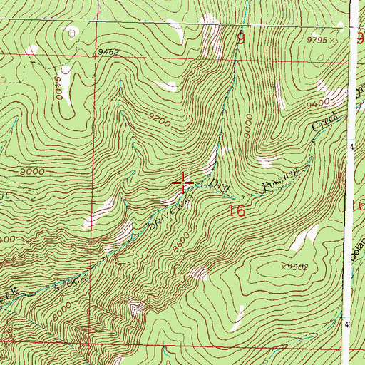 Topographic Map of Dry Possum Creek, CO