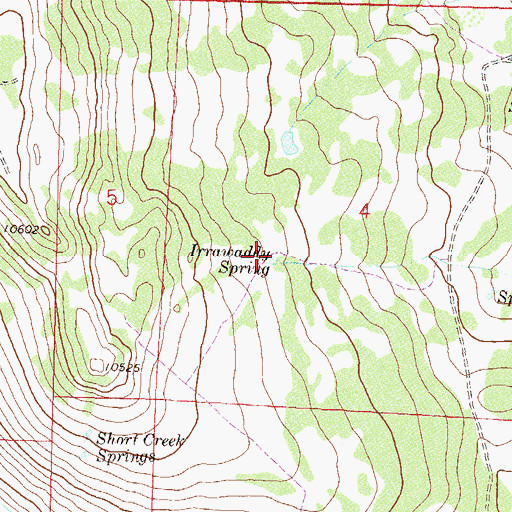 Topographic Map of Irrawaddy Spring, CO