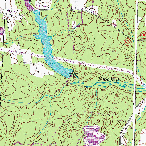 Topographic Map of Laniers Millpond, VA
