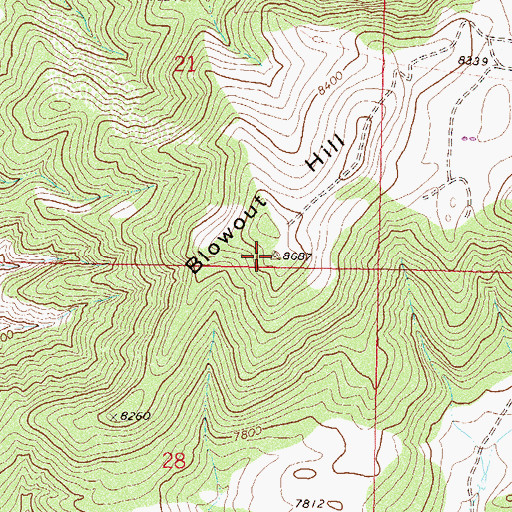 Topographic Map of Blowout Hill, CO