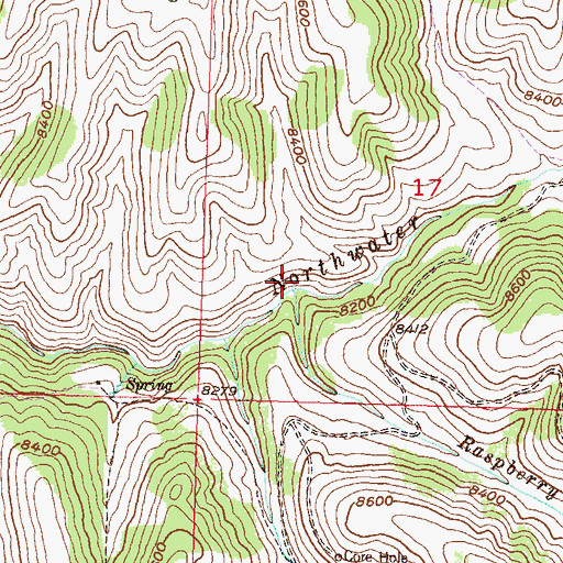 Topographic Map of Rasberry Creek, CO