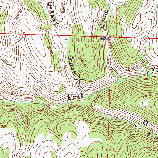 Topographic Map of First Anvil Creek, CO