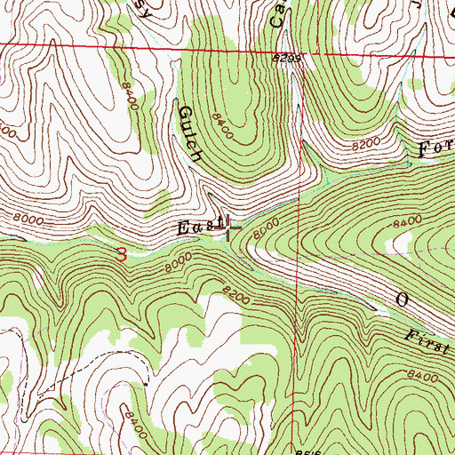Topographic Map of Grassy Gulch, CO