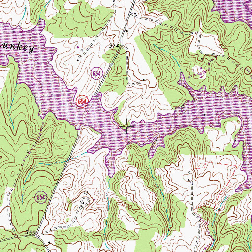 Topographic Map of Henrys Point, VA
