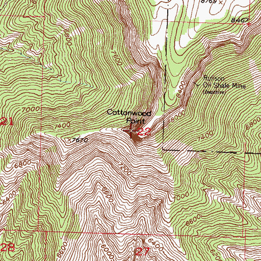 Topographic Map of Cottonwood Point, CO