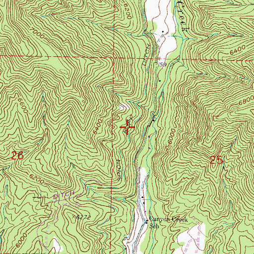 Topographic Map of Spion Kapp Ditch, CO