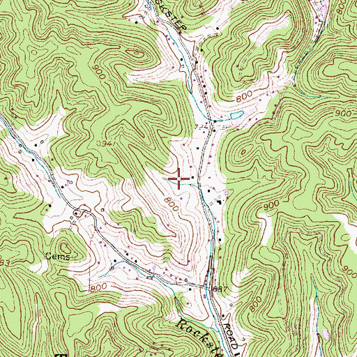 Topographic Map of Black Lick Estates, WV