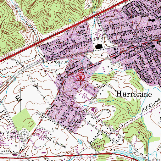 Topographic Map of Mesa Manor, WV