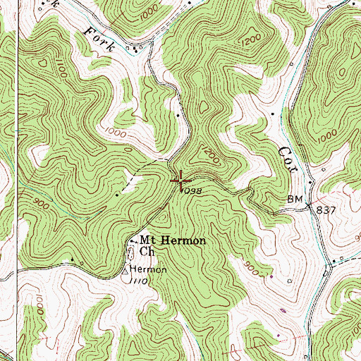 Topographic Map of Geneva, WV
