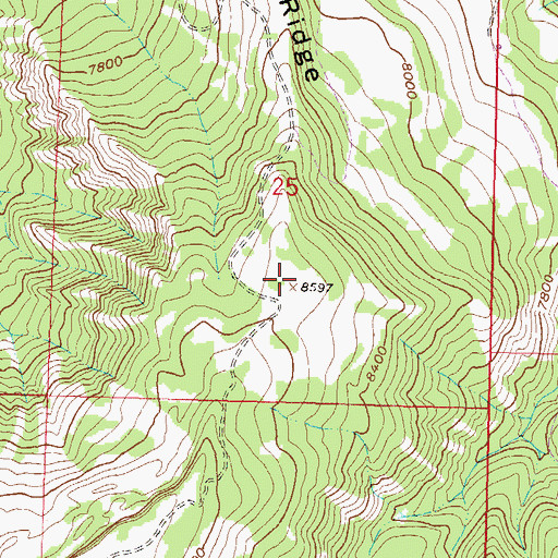 Topographic Map of Spruce Ridge, CO