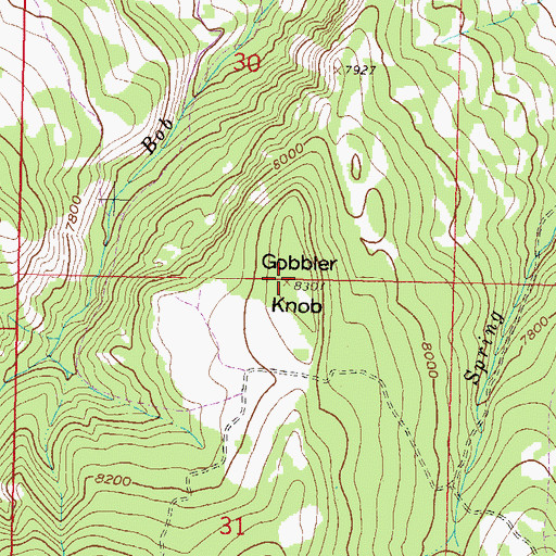 Topographic Map of Gobbler Knob, CO