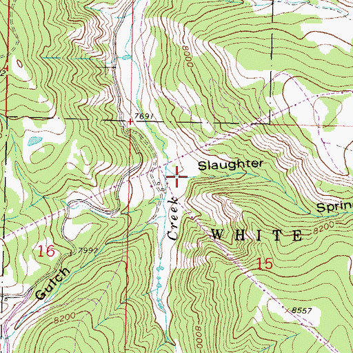 Topographic Map of Slaughter Spring Gulch, CO