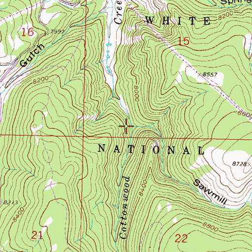 Topographic Map of Sawmill Gulch, CO