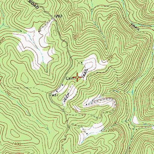Topographic Map of Woods Cemetery, WV