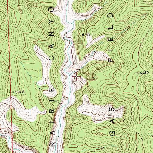 Topographic Map of Prairie Canyon Gas Field, CO
