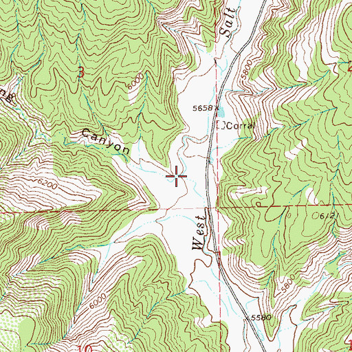 Topographic Map of Spring Canyon, CO