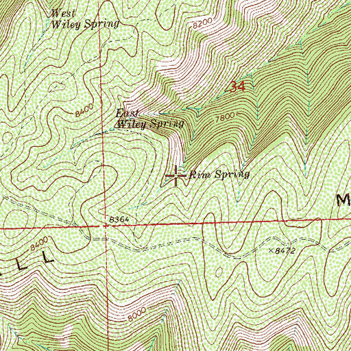 Topographic Map of Rim Spring, CO