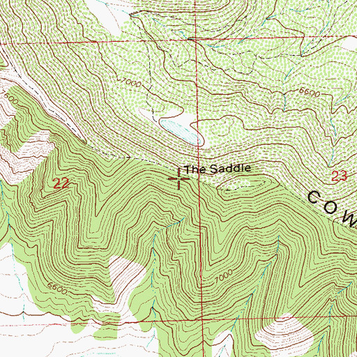 Topographic Map of The Saddle, CO