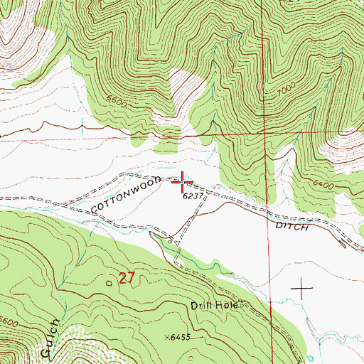 Topographic Map of Cottonwood Ditch, CO