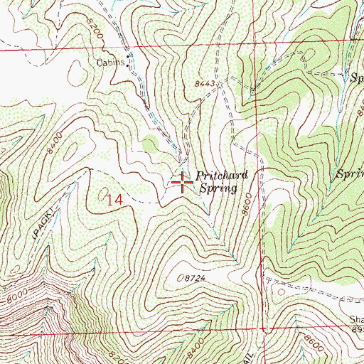Topographic Map of Pritchard Spring, CO