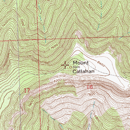Topographic Map of Mount Callahan, CO