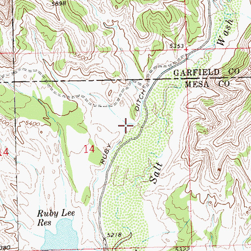 Topographic Map of Ruby Ditch, CO