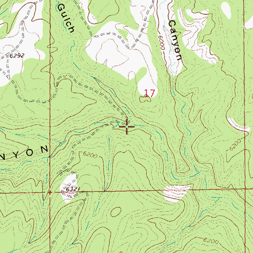 Topographic Map of Pine Gulch, CO