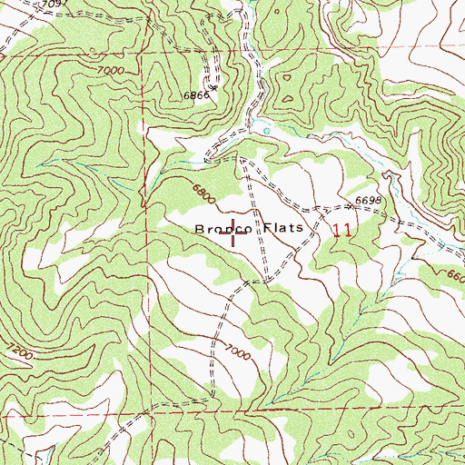Topographic Map of Bronco Flats, CO