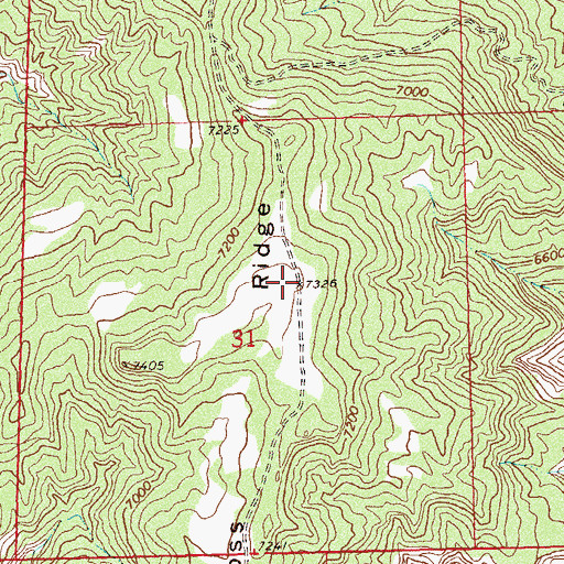 Topographic Map of Ross Ridge, CO