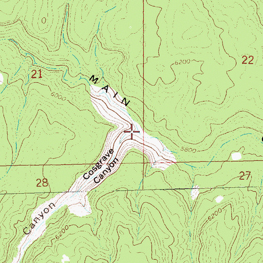 Topographic Map of Cosgrove Canyon, CO