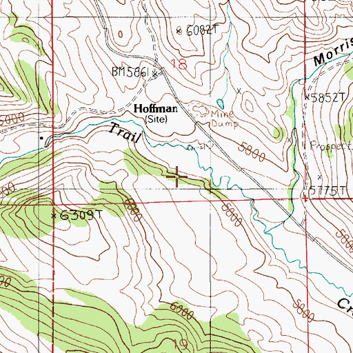 Topographic Map of Hoffman (historical), MT