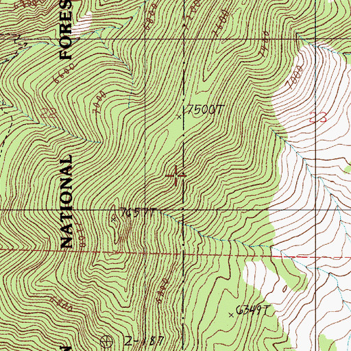 Topographic Map of Mount Baldy, MT