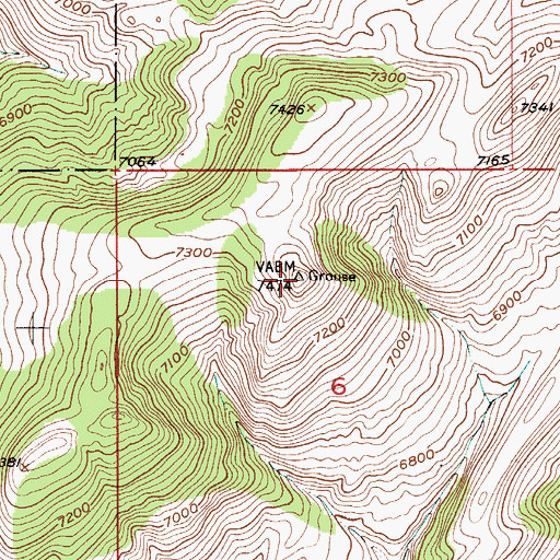 Topographic Map of Grouse Mountain, MT