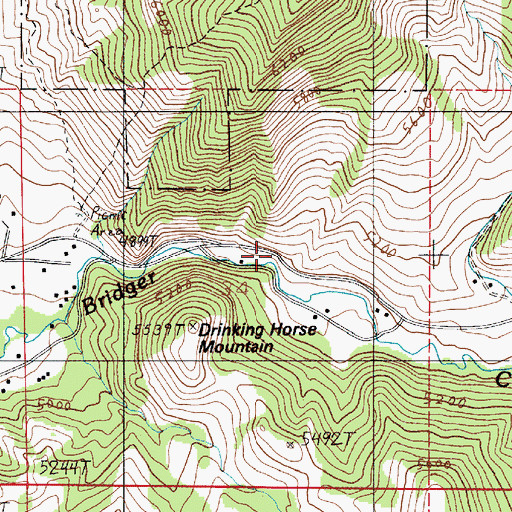Topographic Map of Flaming Arrow Rock, MT