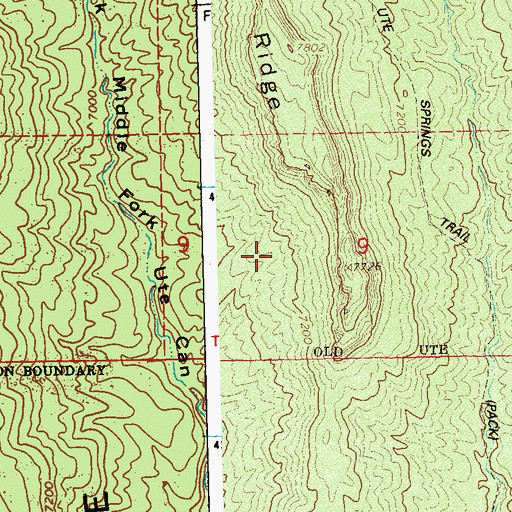 Topographic Map of Basin Butte, CO