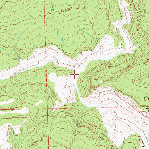 Topographic Map of Cottonwood Canyon, CO