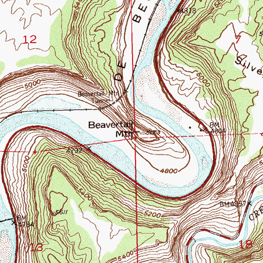 Topographic Map of Beavertail Mountain, CO