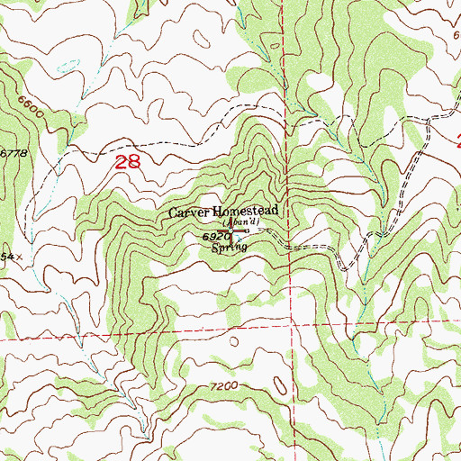 Topographic Map of Carver Homestead, CO