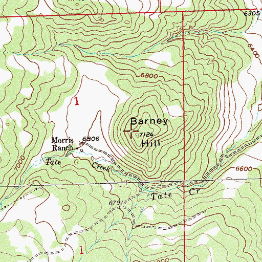 Topographic Map of Barney Hill, CO