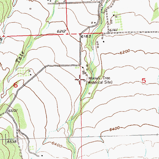 Topographic Map of Meeker Tree, CO