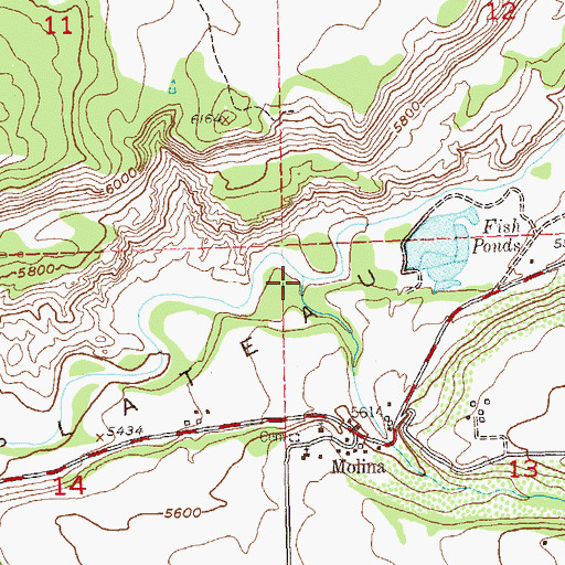 Topographic Map of Cottonwood Creek, CO
