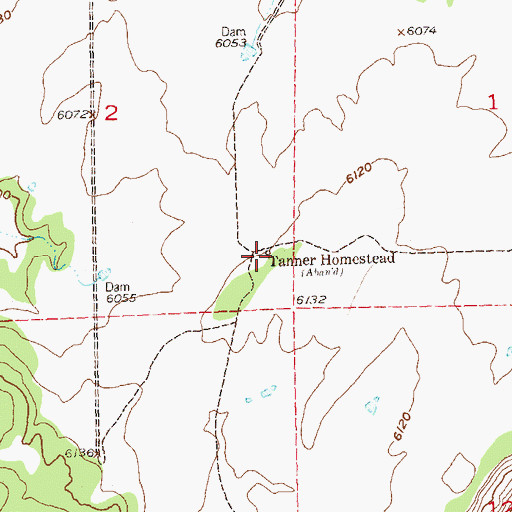 Topographic Map of Tanner Homestead, CO