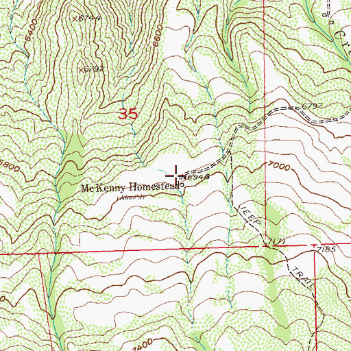 Topographic Map of McKenny Homestead, CO