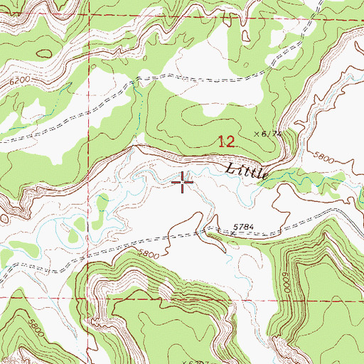 Topographic Map of Toms Canyon, CO