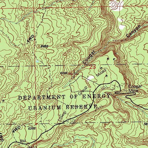 Topographic Map of Little Mariel Mine, CO