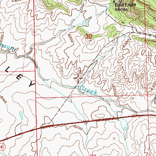 Topographic Map of Tiny Mine, CO