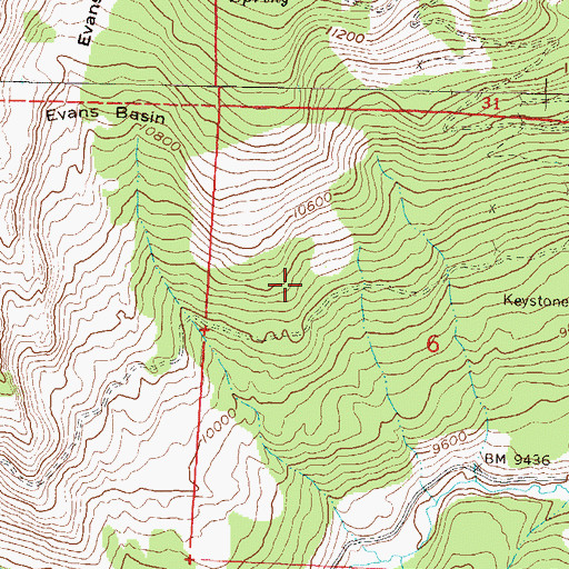 Topographic Map of Iron Swamp Mine, CO