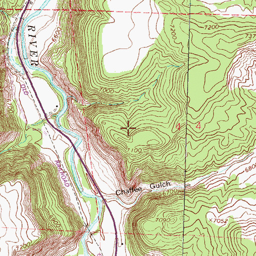 Topographic Map of Dallas Placers Mine, CO